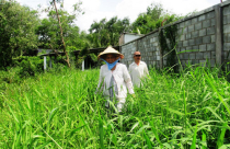 Huyện Nhà Bè, TP.HCM: 13 năm xin… một con đường