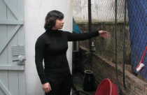 Xác định nghĩa vụ thuế đất chưa đúng gây khiếu kiện kéo dài