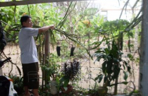 Quận Ninh Kiều, TP Cần Thơ: Cấp nhầm đất, dân “đã khổ lại càng khổ”