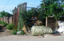 Đất nông nghiệp bị sử dụng sai mục đích?