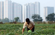 Gói hỗ trợ mua nhà giá rẻ: Ngân hàng quá chắc, người dân khó vay