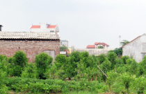 Nhiều nhà siêu mỏng, siêu méo vẫn còn nguyên như... thách thức