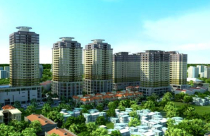 “Người khôn, của... ế”!