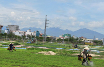 Vật vã Trong Chung Cư (*): Bế tắc kế mưu sinh