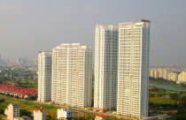 Cò đất chuyển nghề bán ốc, xe ôm