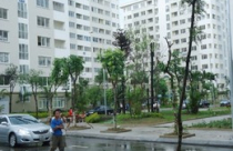 Học cách quản lý rủi ro