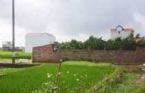 Xây dựng trái phép trên đất nông nghiệp tại xã An Thượng (Hoài Đức): Sai phạm tràn lan, xử lý trên "giấy"