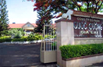 Đằng sau vụ lùm xùm Quốc Cường Gia Lai