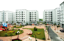 Khi chủ đầu tư và sàn giao dịch bắt tay làm giá