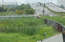 Ban hành khung giá đất hằng năm để…ngắm?