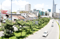 TPHCM: Mở rộng mảng xanh đô thị
