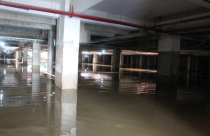 Tầng hầm chung cư ngập nặng, cư dân khốn khổ