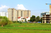 Đất dịch vụ cần tiến hành bàn giao nhanh, gọn hơn nữa