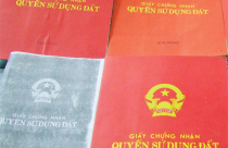 Chủ tịch HĐQT và giám đốc "rủ nhau" ăn cơm tù