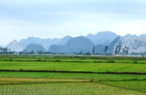 Thủ tướng cho phép lấy 1.500 ha đất lúa làm dự án