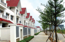 Thị trường tự an ủi…