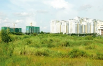 Trường hợp nào buộc Nhà nước phải thu hồi đất?