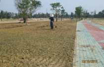 Đất nền giá rẻ tiếp tục hút khách