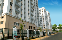 Thuduc House: Quý 3 có lãi, 9 tháng vẫn lỗ hơn 12 tỷ đồng