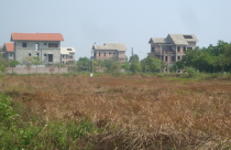 Đất liền kề, biệt thự giá bèo ở "đô thị ma"