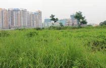 Bộ nỗ lực thu đất dự án, dân 'chê' sổ đỏ