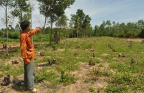 Những dự án “rùa bò” siêu lãng phí ở Chân Mây