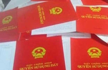 Mắc cạn vì tin nhà môi giới