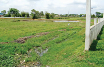 Đất hoang: Ì ạch thu hồi