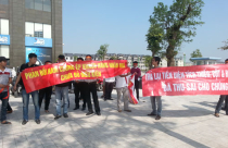 Khách mua chung cư Nam Cường kêu cứu Ngân hàng Nhà nước
