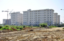 Để thị trường không... “mắc nghẹn”