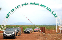 Deutsche Bank duy trì sở hữu tại Hoàng Anh Gia Lai