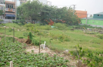 Đà Nẵng "xã hội hóa" trường học - Bài 1: Xin di dời trường chuẩn quốc gia để phân lô, bán đất nền