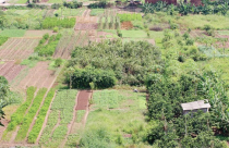 Tiền từ mua bán, chuyển nhượng đất quốc phòng sẽ chi vào đâu?