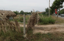 Lao đao vì thông tin quy hoạch sai