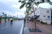 TP.HCM: Giá đất 2014 cơ bản như 2013
