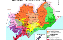 Bà Rịa – Vũng Tàu: Bảng giá đất 2014 cao nhất vẫn 20,8 triệu đồng/m2