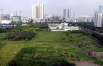 TP. HCM bàn về cấp GCN nhà đất mua bán bằng giấy viết tay