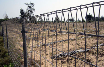 Bất động dự án ven biển