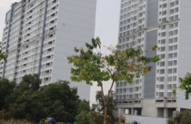 Dự thảo Luật Nhà ở: Bảo vệ người mua cách nào?