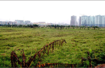 Xóa sổ dự án “treo”, trả đất cho dân