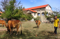 Chính thức cho dừng đầu tư xây dựng cảng Kê Gà