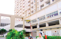 Chính sách mang tầm nhìn dài hạn