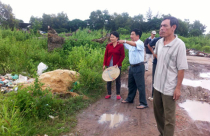 Có hay không sự bao che và cố ý làm trái?