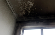 Sống chung cư vip bất an vì lo cháy nổ