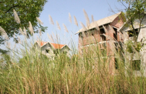 Cấm xây mới nhà đất: Hệ lụy ai gánh?