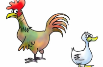 Đất xen kẹt, quảng cáo gà, hóa ra… bán vịt