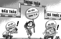 Đấu thầu và những kịch bản khiến nhà thầu... "chết đứng"