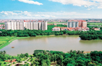 “Săn” dự án bằng chiêu độc