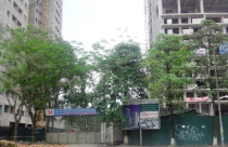 Nhếch nhác… “hậu kiểu mẫu”