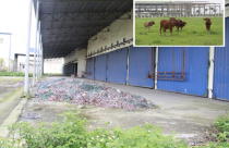 Lãng phí khu công nghiệp bỏ hoang